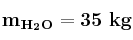 \bf m_{H_2O} = 35\ kg