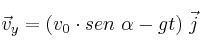 \vec v_y = (v_0\cdot sen\ \alpha - gt)\ \vec j