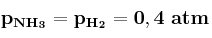 \bf p_{NH_3} = p_{H_2} = 0,4\ atm