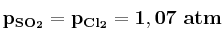 \bf p_{SO_2} = p_{Cl_2} = 1,07\ atm