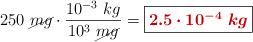 250\ \cancel{mg}\cdot \frac{10^{-3}\ kg}{10^3\ \cancel{mg}} = \fbox{\color[RGB]{192,0,0}{\bm{2.5\cdot 10^{-4}\ kg}}}