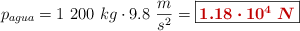 p_{agua} = 1\ 200\ kg\cdot 9.8\ \frac{m}{s^2} = \fbox{\color[RGB]{192,0,0}{\bm{1.18\cdot 10^4\ N}}}