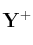 \bf Y^+