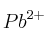 Pb^{2+}