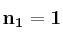 \bf n_1 = 1