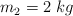m_2  = 2\ kg