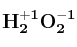 \bf H_2^{+1}O_2^{-1}