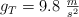 g_T = 9.8\ \textstyle{m\over s^2}