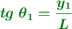 \color[RGB]{2,112,20}{\bm{tg\ \theta_1 = \frac{y_1}{L}}}