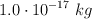 1.0\cdot 10^{-17}\ kg