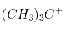 (CH_3)_3C^+