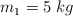 m_1 =  5\ kg