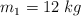 m_1 = 12\ kg