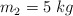 m_2 = 5\ kg