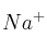 Na^+