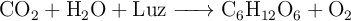 \ce{CO2 + H2O + Luz -> C6H12O6 + O2}