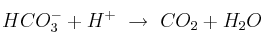 HCO_3^- + H^+\ \to\ CO_2 + H_2O