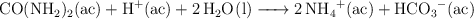 \ce{CO(NH2)2(ac) + H^+(ac) + 2H2O(l) -> 2NH4^+(ac) + HCO3^-(ac)}