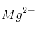 Mg^{2+}