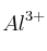 Al^{3+}